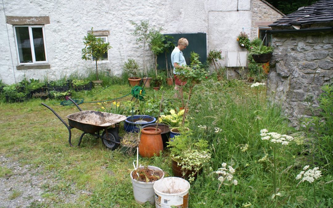 how to keep a from shedding how to keep your garden and shed safe when unoccupied clean green compare how to keep a from shedding how to keep your garden and shed safe when unoccupied clean green compare