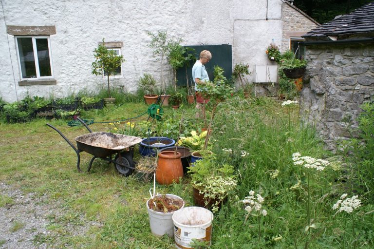 How To Keep Your Garden and Shed Safe when Unoccupied