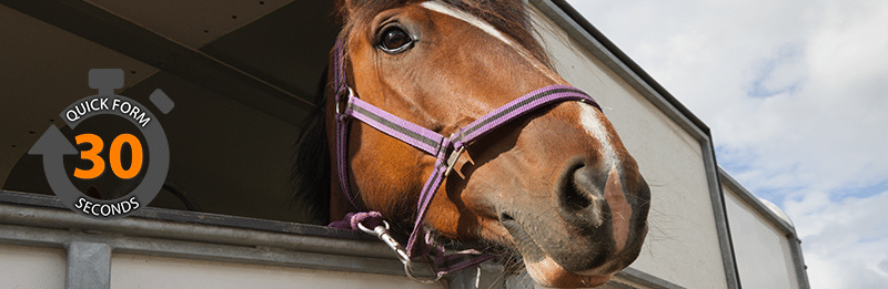 Horsebox Insurance image
