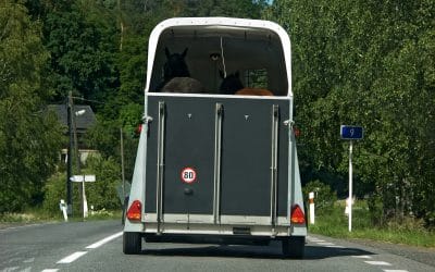 Maintaining your horsebox or trailer