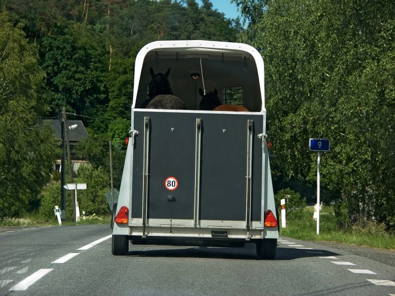 Maintaining your horsebox or trailer