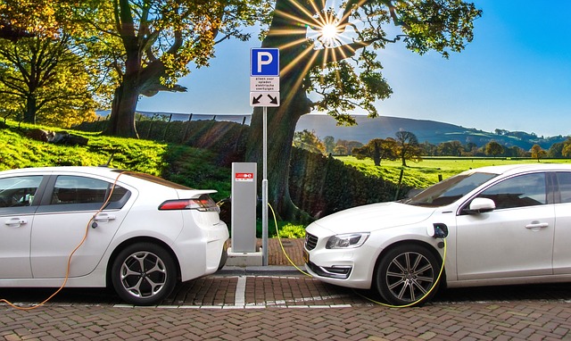 Electric Vehicle Fleet Insurance image