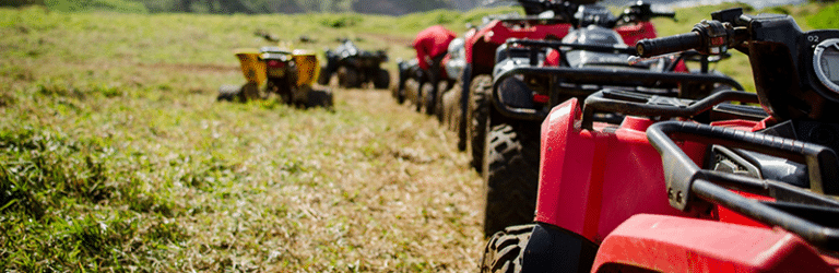 row of quad bikes