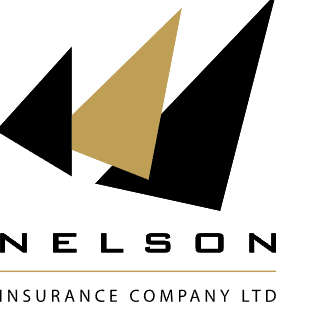 Nelson Taxi Insurance